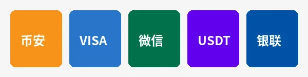 raybet支持的支付方式图标